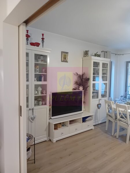 Vila moderna P+1 de vanzare in zona Parcul Circului